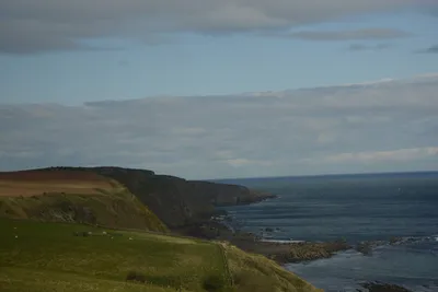 DSC_7271 (Large).JPG